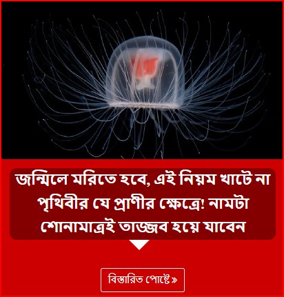 জন্মিলে মরিতে হবে, এই নিয়ম খাটে না পৃথিবীর যে প্রাণীর ক্ষেত্রে! নামটা শোনামাত্রই তাজ্জব হয়ে যাবেন