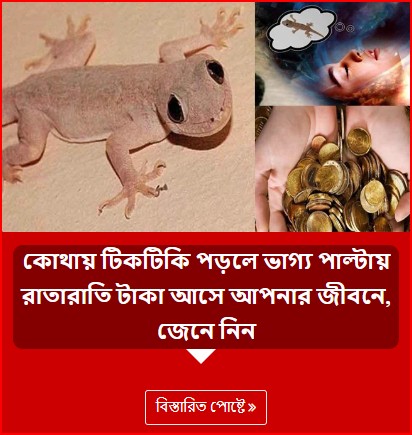 কোথায় টিকটিকি পড়লে ভাগ্য পাল্টায় রাতারাতি টাকা আসে আপনার জীবনে, জেনে নিন