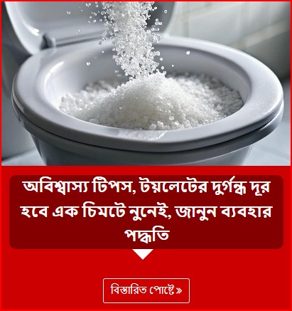 অবিশ্বাস্য টিপস, টয়লেটের দুর্গন্ধ দূর হবে এক চিমটে নুনেই, জানুন ব্যবহার পদ্ধতি