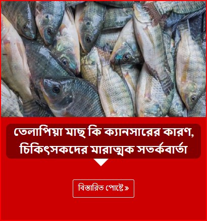 তেলাপিয়া মাছ কি ক্যানসারের কারণ, চিকিৎসকদের মারাত্মক সতর্কবার্তা