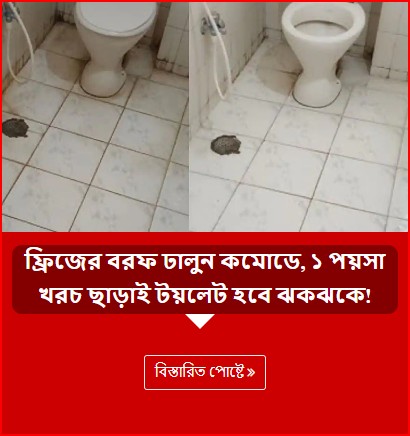 ফ্রিজের বরফ ঢালুন কমোডে, ১ পয়সা খরচ ছাড়াই টয়লেট হবে ঝকঝকে!