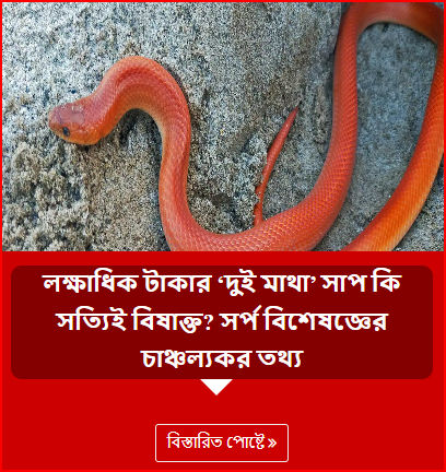 লক্ষাধিক টাকার ‘দুই মাথা’ সাপ কি সত্যিই বিষাক্ত? সর্প বিশেষজ্ঞের চাঞ্চল্যকর তথ্য
