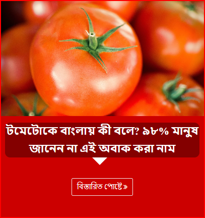 টমেটোকে বাংলায় কী বলে? ৯৮% মানুষ জানেন না এই অবাক করা নাম