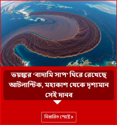 ভয়ঙ্কর ‘বাদামি সাপ’ ঘিরে রেখেছে আটলান্টিক, মহাকাশ থেকে দৃশ্যমান সেই দানব