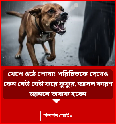 খেপে ওঠে পোষ্য! পরিচিতকে দেখেও কেন ঘেউ ঘেউ করে কুকুর, আসল কারণ জানলে অবাক হবেন