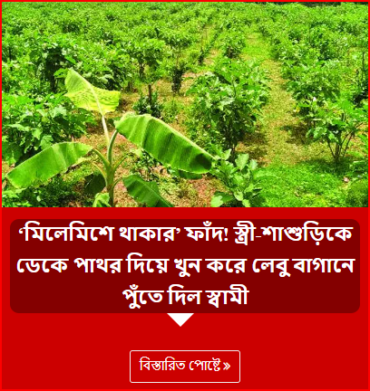 ‘মিলেমিশে থাকার’ ফাঁদ! স্ত্রী-শাশুড়িকে ডেকে পাথর দিয়ে খুন করে লেবু বাগানে পুঁতে দিল স্বামী
