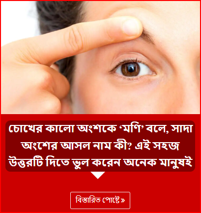চোখের কালো অংশকে ‘মণি’ বলে, সাদা অংশের আসল নাম কী? এই সহজ উত্তরটি দিতে ভুল করেন অনেক মানুষই