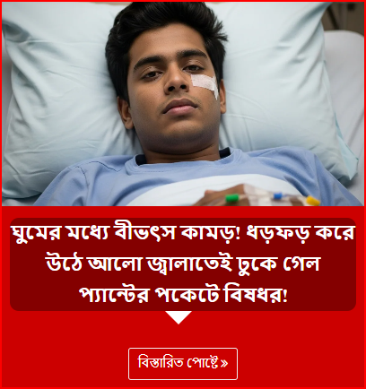 ঘুমের মধ্যে বীভৎস কামড়! ধড়ফড় করে উঠে আলো জ্বালাতেই ঢুকে গেল প্যান্টের পকেটে বিষধর!