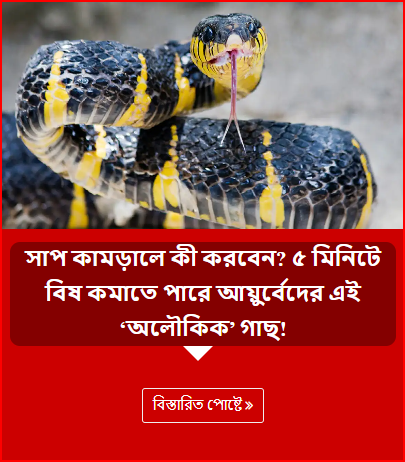 সাপ কামড়ালে কী করবেন? ৫ মিনিটে বিষ কমাতে পারে আয়ুর্বেদের এই ‘অলৌকিক’ গাছ!
