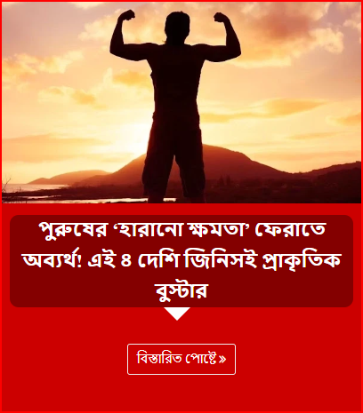 পুরুষের ‘হারানো ক্ষমতা’ ফেরাতে অব্যর্থ! এই ৪ দেশি জিনিসই প্রাকৃতিক বুস্টার