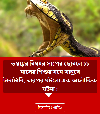 ভয়ঙ্কর বিষধর সাপের ছোবলে ১১ মাসের শিশুর যমে-মানুষে টানাটানি, তারপর ঘটলো এক অলৌকিক ঘটনা !