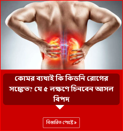 কোমর ব্যথাই কি কিডনি রোগের সঙ্কেত? যে ৫ লক্ষণে চিনবেন আসল বিপদ