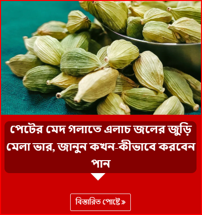 পেটের মেদ গলাতে এলাচ জলের জুড়ি মেলা ভার, জানুন কখন-কীভাবে করবেন পান