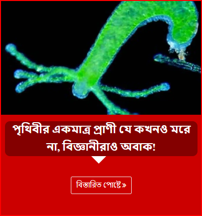 পৃথিবীর একমাত্র প্রাণী যে কখনও মরে না, বিজ্ঞানীরাও অবাক!