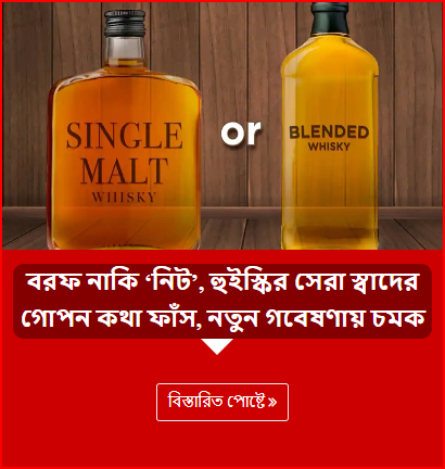 বরফ নাকি ‘নিট’, হুইস্কির সেরা স্বাদের গোপন কথা ফাঁস, নতুন গবেষণায় চমক