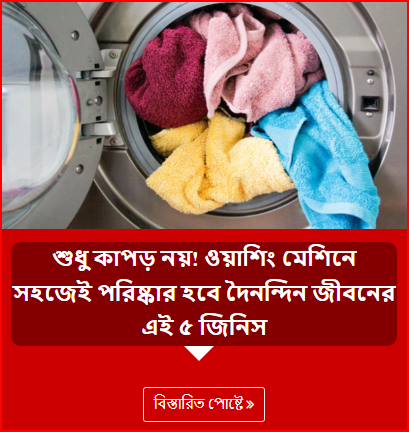 শুধু কাপড় নয়! ওয়াশিং মেশিনে সহজেই পরিষ্কার হবে দৈনন্দিন জীবনের এই ৫ জিনিস