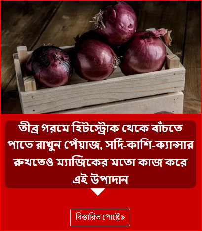 তীব্র গরমে হিটস্ট্রোক থেকে বাঁচতে পাতে রাখুন পেঁয়াজ, সর্দি-কাশি-ক্যান্সার রুখতেও ম্যাজিকের মতো কাজ করে এই উপাদান