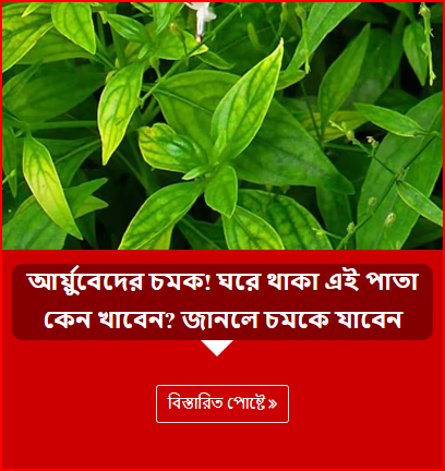 আর্য়ুবেদের চমক! ঘরে থাকা এই পাতা কেন খাবেন? জানলে চমকে যাবেন