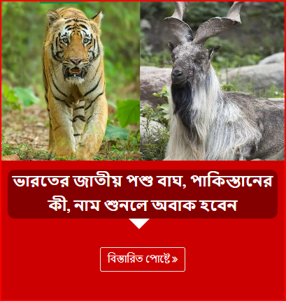 ভারতের জাতীয় পশু বাঘ, পাকিস্তানের কী, নাম শুনলে অবাক হবেন