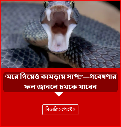 ‘মরে গিয়েও কামড়ায় সাপ!’—গবেষণার ফল জানলে চমকে যাবেন