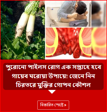 পুরোনো পাইলস রোগ এক সপ্তাহে হবে গায়েব ঘরোয়া উপায়ে! জেনে নিন চিরতরে মুক্তির গোপন কৌশল