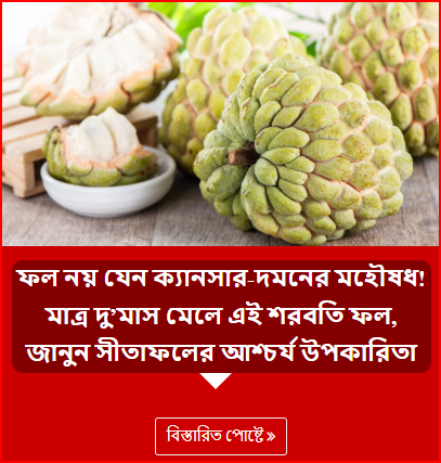 ফল নয় যেন ক্যানসার-দমনের মহৌষধ! মাত্র দু’মাস মেলে এই শরবতি ফল, জানুন সীতাফলের আশ্চর্য উপকারিতা