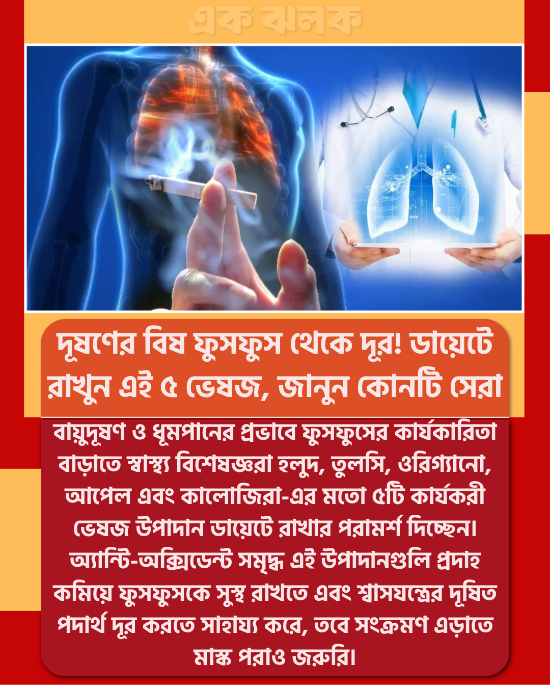 দূষণের বিষ ফুসফুস থেকে দূর! ডায়েটে রাখুন এই ৫ ভেষজ, জানুন কোনটি সেরা