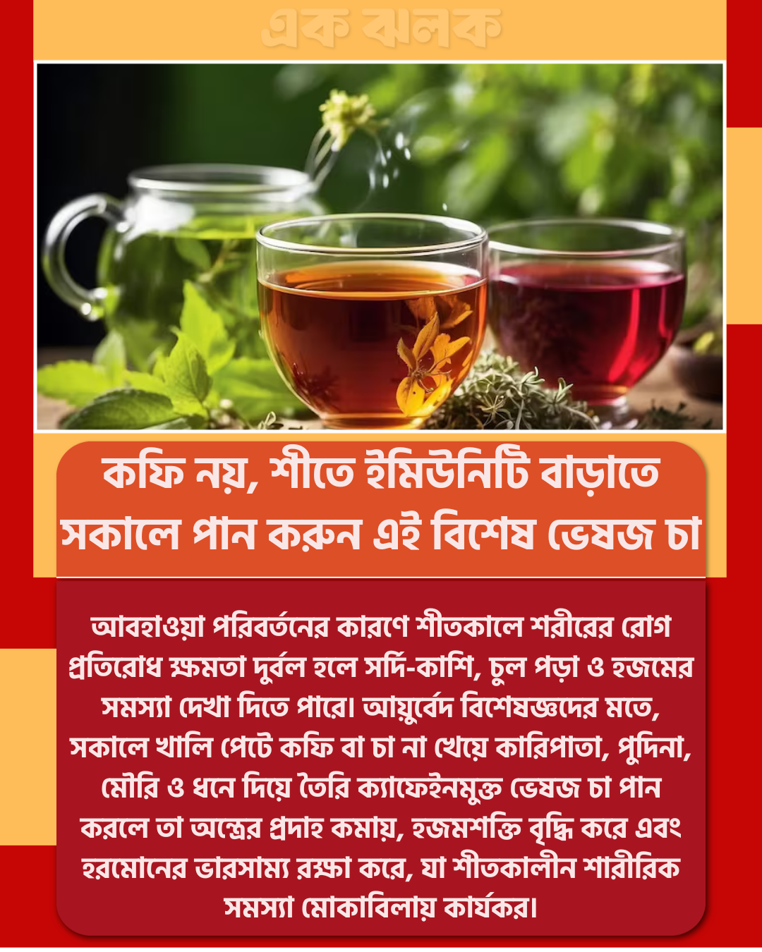 কফি নয়, শীতে ইমিউনিটি বাড়াতে সকালে পান করুন এই বিশেষ ভেষজ চা