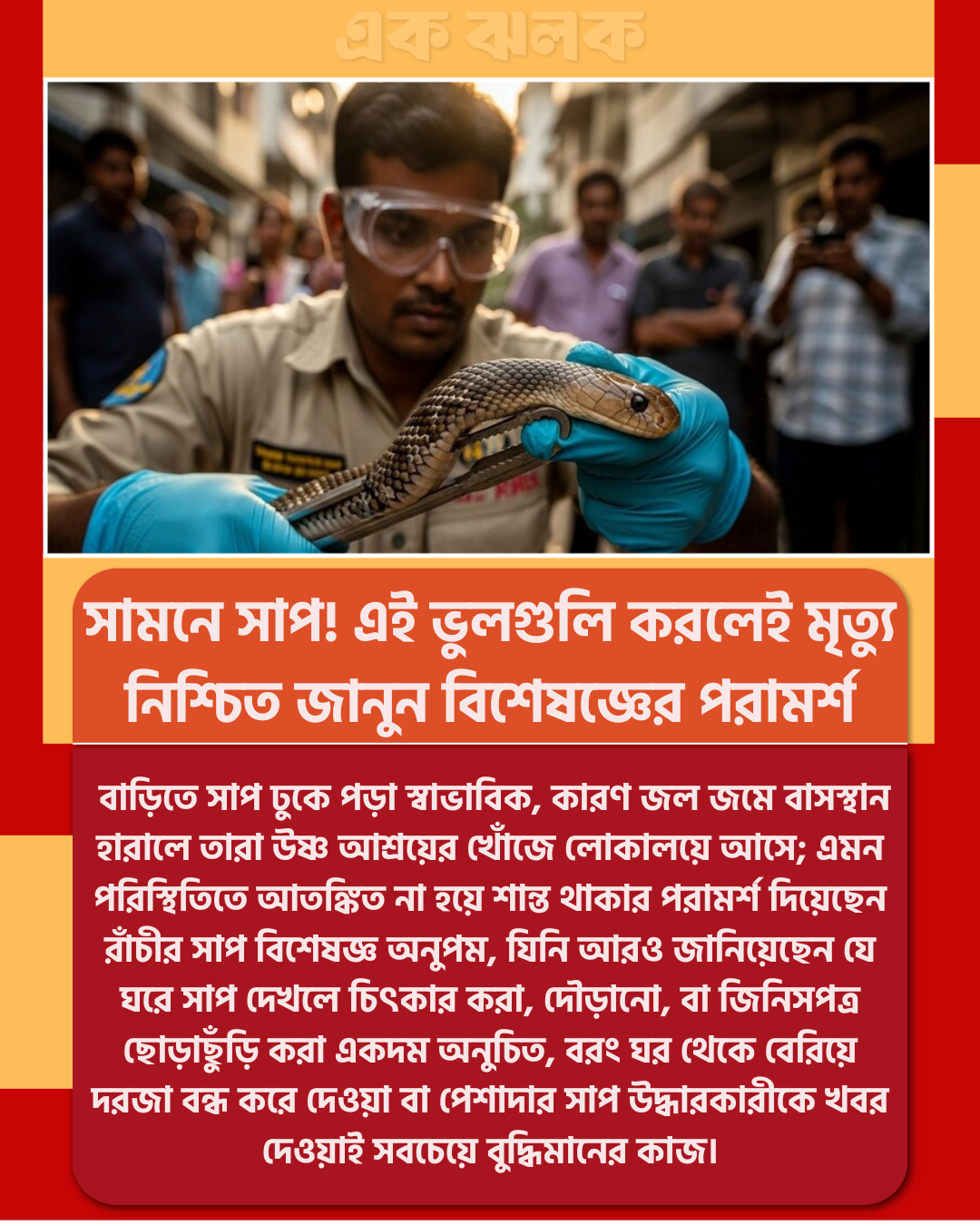 সামনে সাপ! এই ভুলগুলি করলেই মৃত্যু নিশ্চিত জানুন বিশেষজ্ঞের পরামর্শ