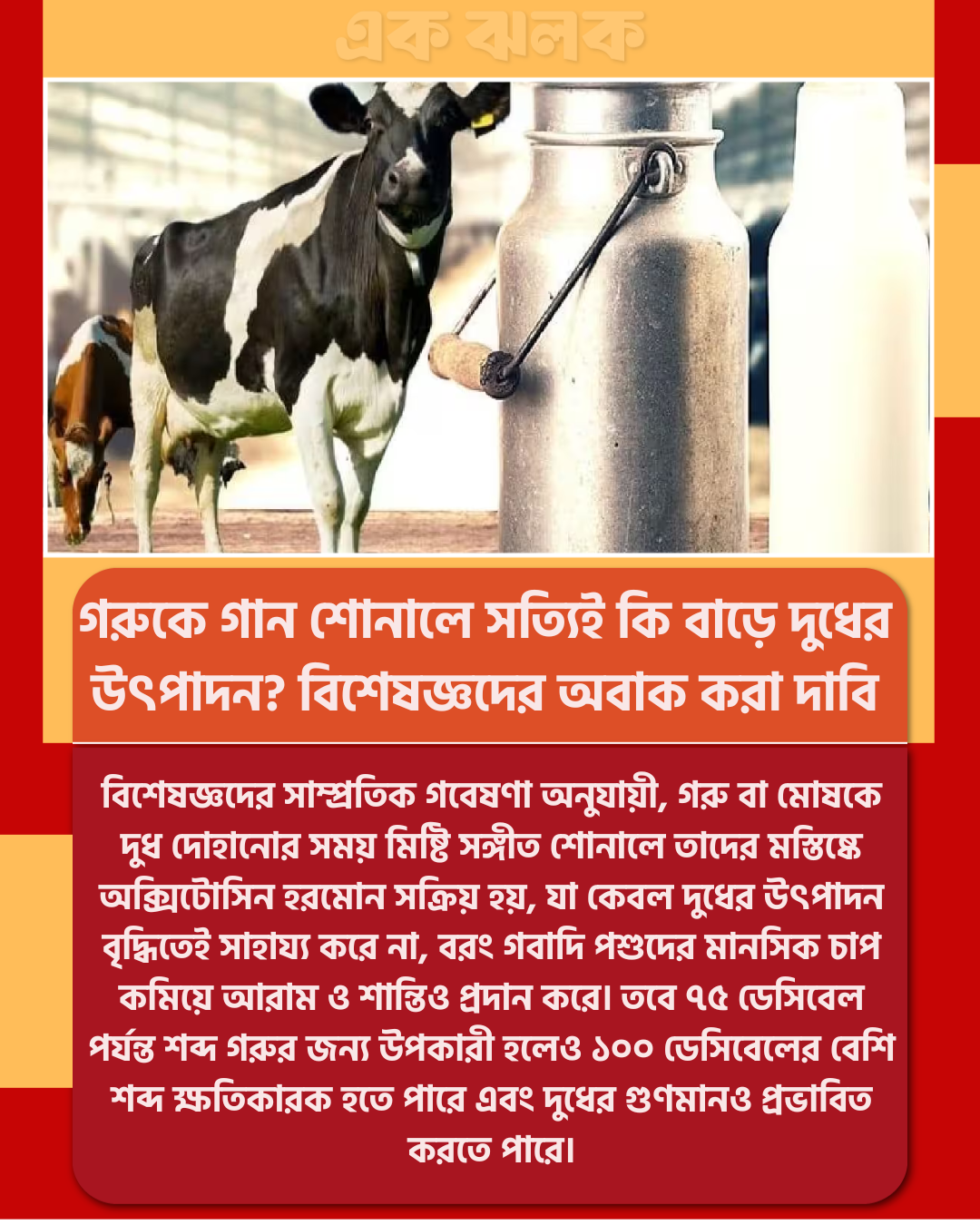 গরুকে গান শোনালে সত্যিই কি বাড়ে দুধের উৎপাদন? বিশেষজ্ঞদের অবাক করা দাবি