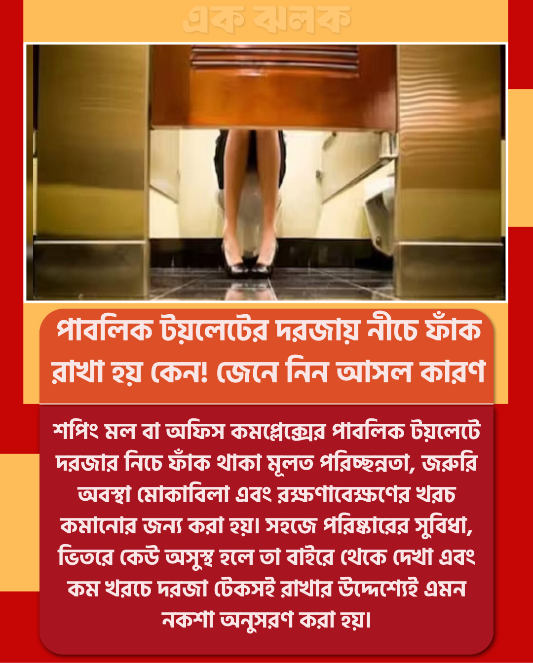 পাবলিক টয়লেটের দরজা কেন নিচে ফাঁকা থাকে আসল কারণ জানলে অবাক হবেন